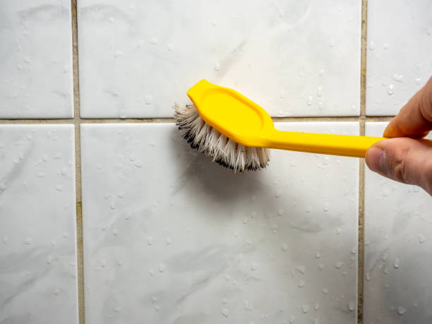Best Best Mold Removal Companies  in Montebello, NY