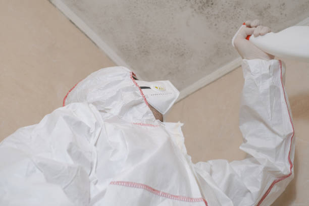 Best Crawl Space Mold Removal  in Montebello, NY