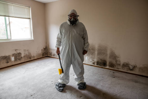 Best Commercial Mold Removal  in Montebello, NY